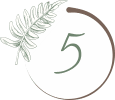 5 5