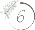 6 6