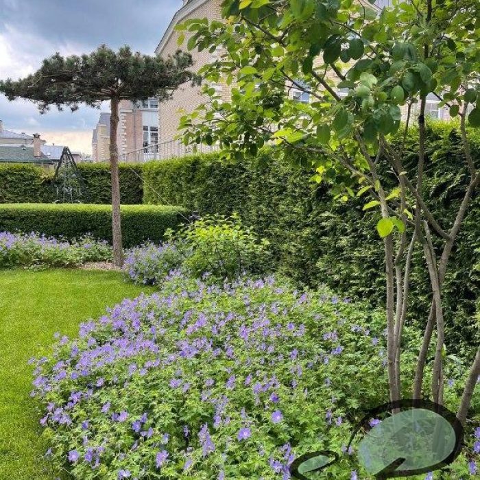 Ландшафтный дизайн