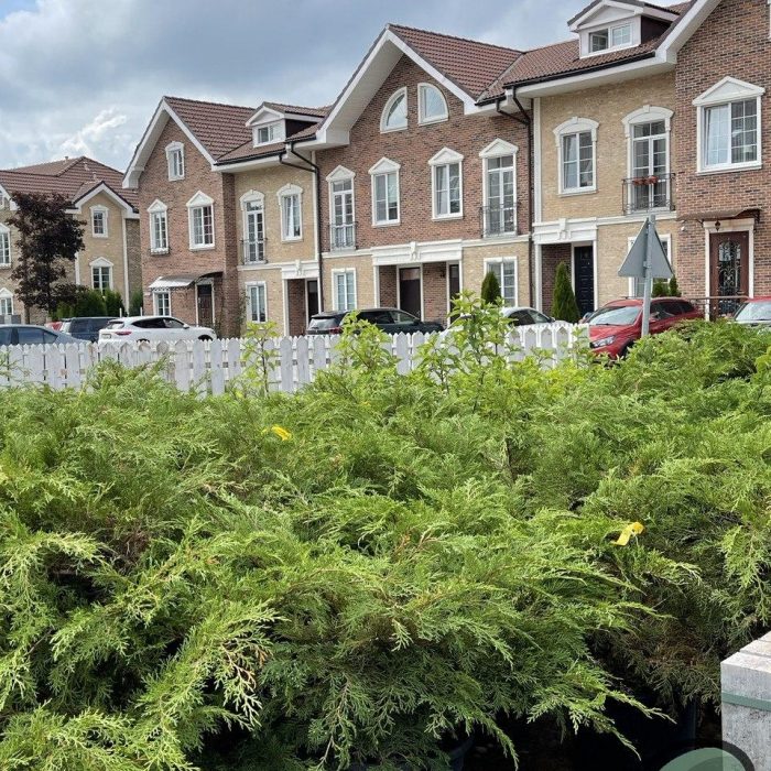 Ландшафтный дизайн