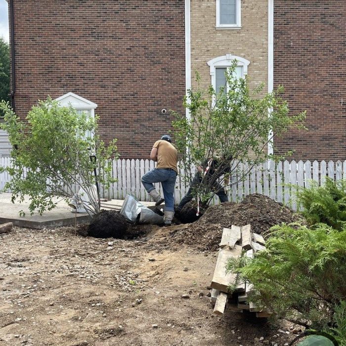 Ландшафтный дизайн