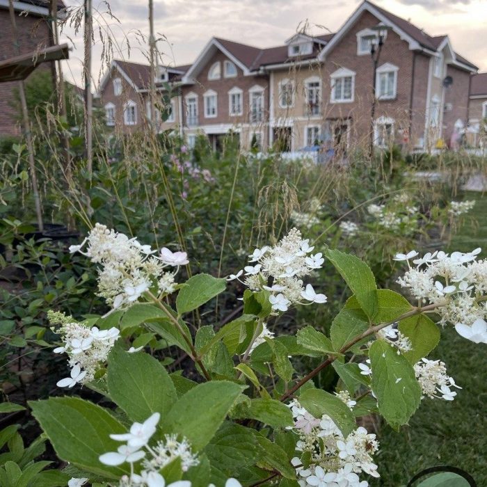 Ландшафтный дизайн