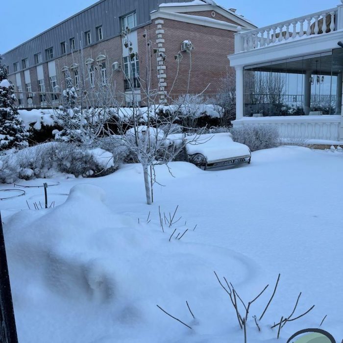 Ландшафтный дизайн